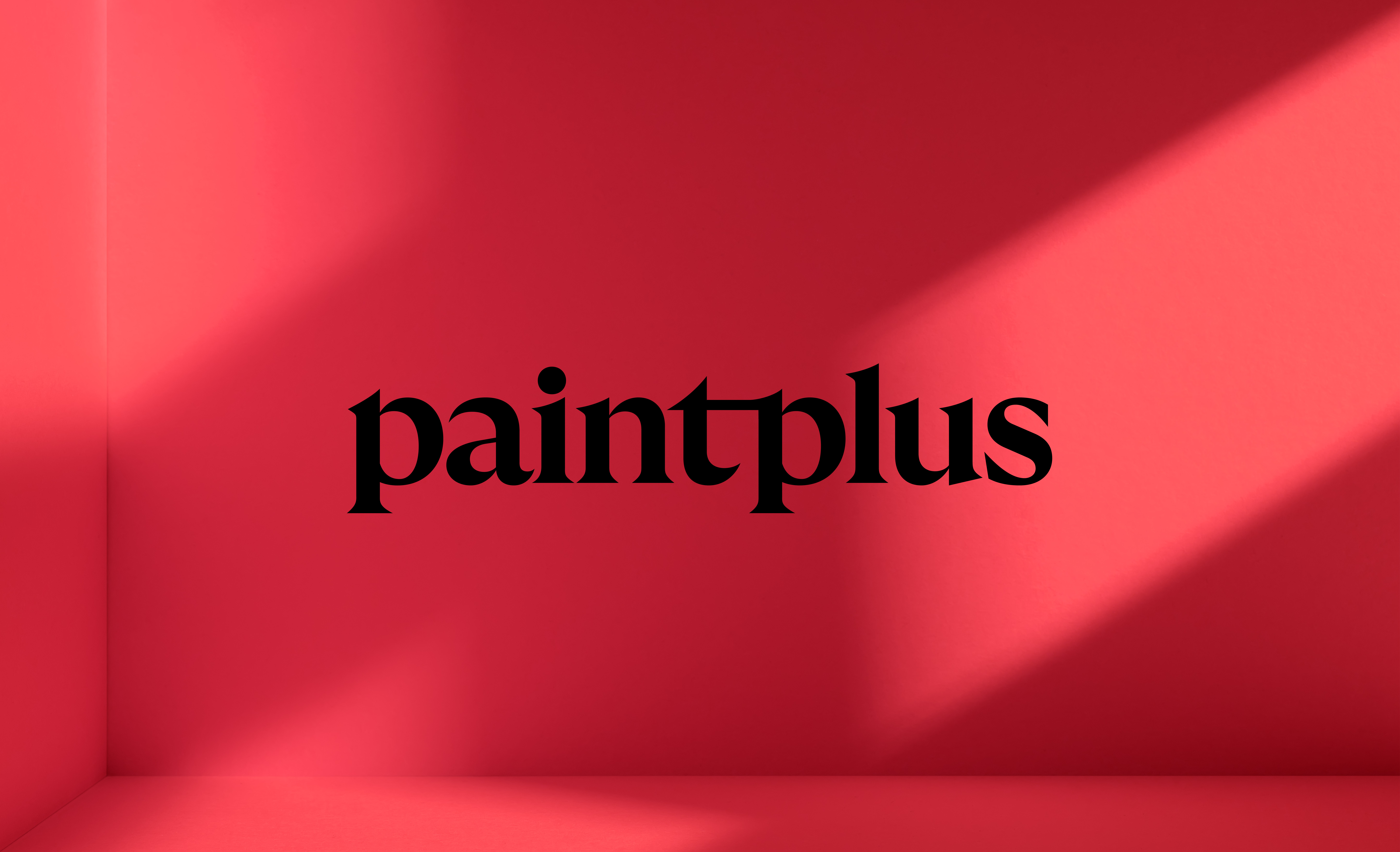 PaintPlus brand identity