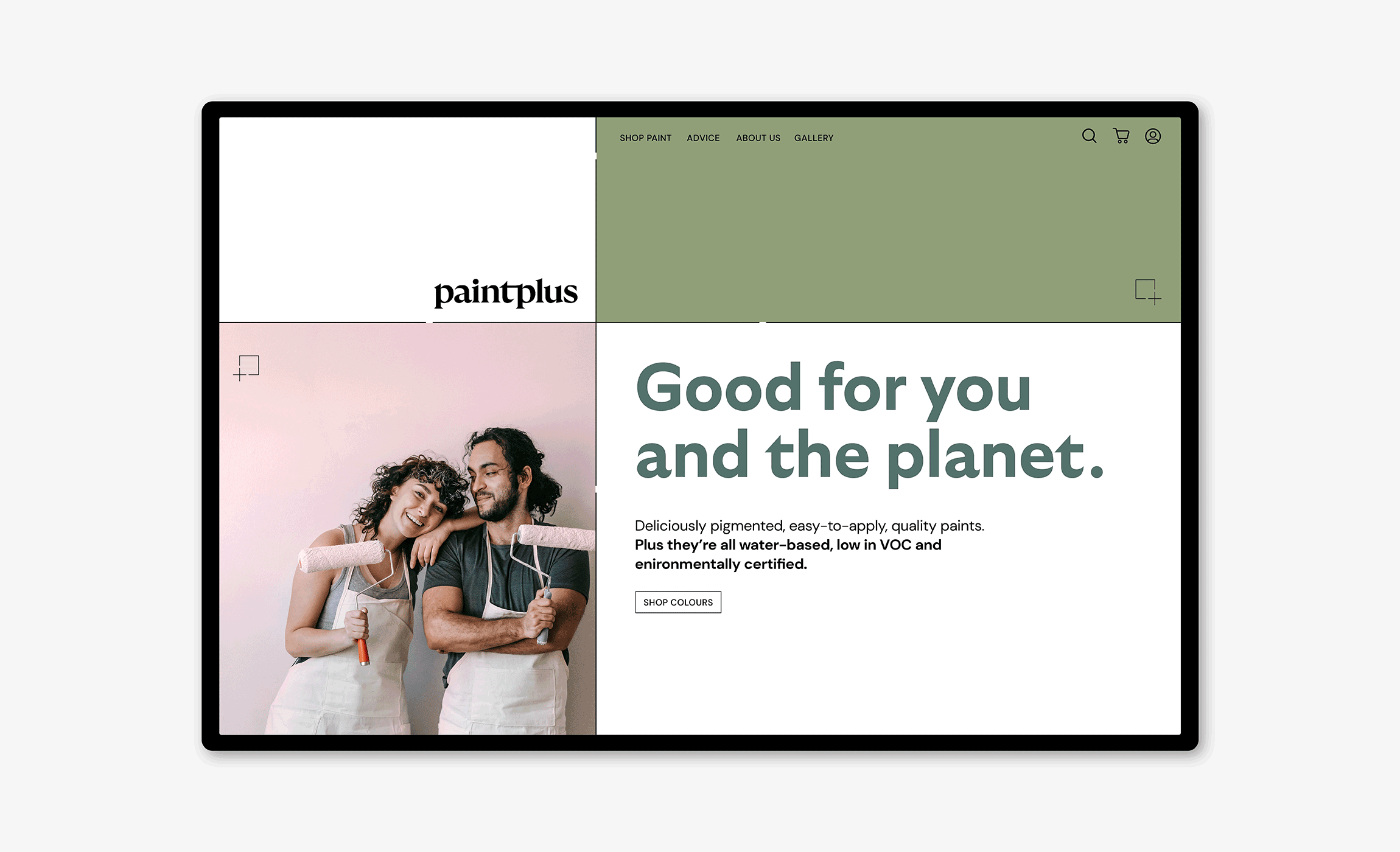 PaintPlus website home page