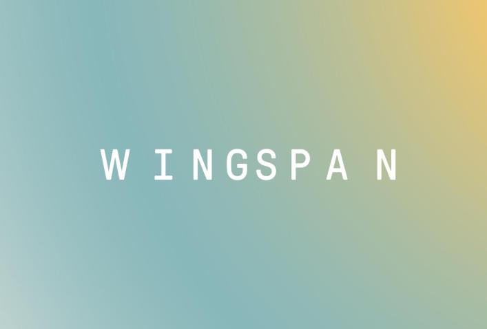 Wingspan Brand Identity