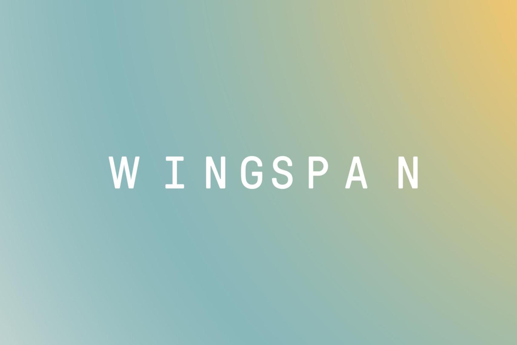 Wingspan Brand Identity